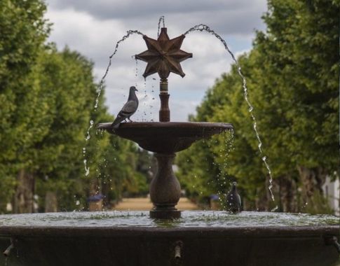 Fuente en un jardín adornada con una estrella, palomas posadas y chorros de agua.