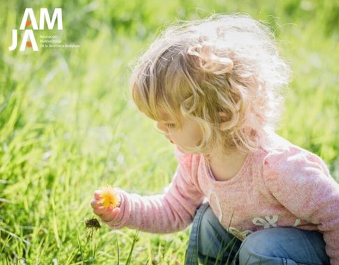 Niña pequeña con suéter rosa observando una flor amarilla mientras se agacha en un campo verde durante un día soleado.
