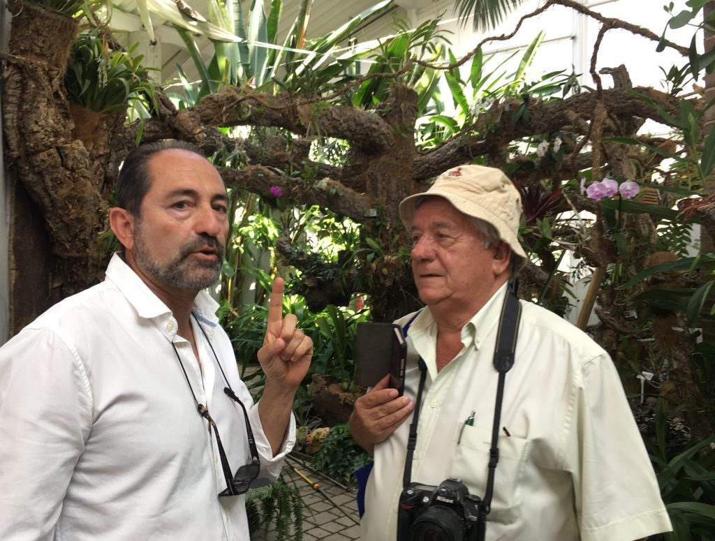 Dos hombres conversando en un invernadero con orquídeas y vegetación tropical.